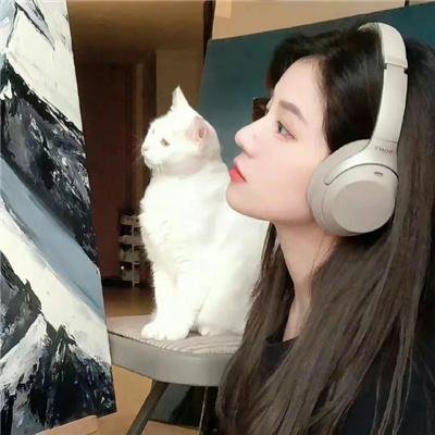 我的麻吉4个鬼